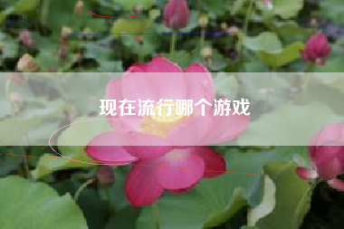 现在流行哪个游戏
