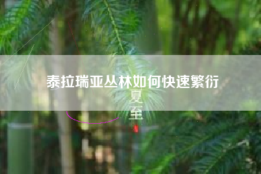 泰拉瑞亚丛林如何快速繁衍