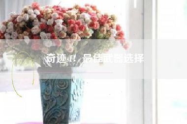 奇迹sf：最佳武器选择