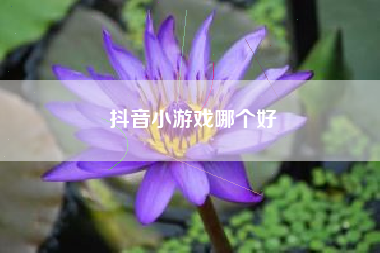 抖音小游戏哪个好