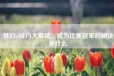 梦幻sf技巧大揭秘：成为比赛冠军的秘诀是什么