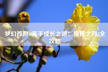 梦幻西游sf高手成长之路：魔托之刃3全攻略