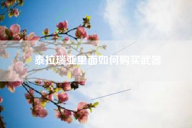 泰拉瑞亚里面如何购买武器