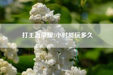 打王者荣耀2小时能玩多久