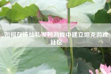 如何在诛仙私发网游戏中建立坦克游戏社区
