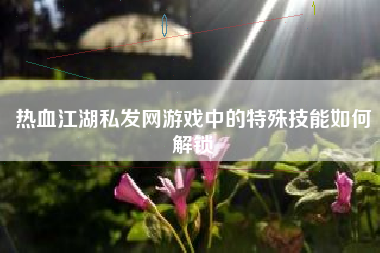 热血江湖私发网游戏中的特殊技能如何解锁