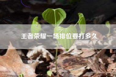 王者荣耀一场排位要打多久