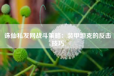 诛仙私发网战斗策略：装甲坦克的反击技巧