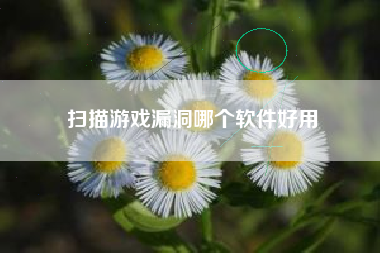 扫描游戏漏洞哪个软件好用
