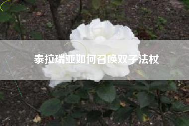 泰拉瑞亚如何召唤双子法杖