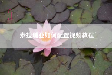 泰拉瑞亚如何配置视频教程