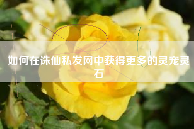 如何在诛仙私发网中获得更多的灵宠灵石