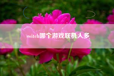 switch哪个游戏联机人多