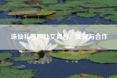 诛仙私发网社交舞台：交友与合作
