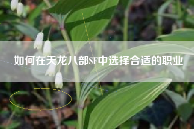 如何在天龙八部SF中选择合适的职业