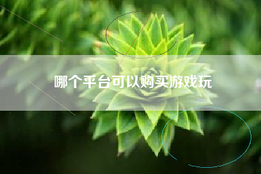 哪个平台可以购买游戏玩
