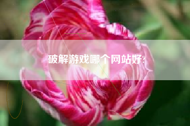 破解游戏哪个网站好?