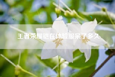 王者荣耀铠在体验服呆了多久