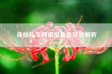 诛仙私发网虚拟角色技能解析