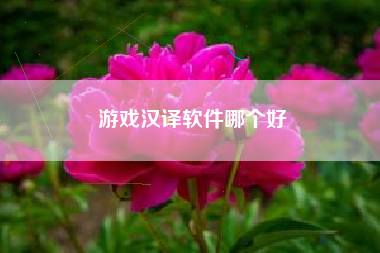 游戏汉译软件哪个好