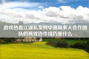 游戏热血江湖私发网中高级多人合作团队的高效协作技巧是什么