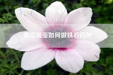 泰拉瑞亚如何做铁石药剂
