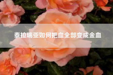 泰拉瑞亚如何把血全部变成金血