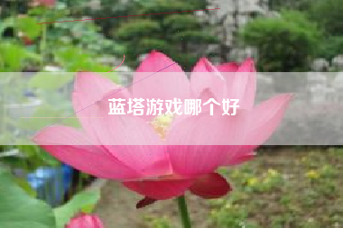 蓝塔游戏哪个好