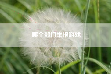 哪个部门举报游戏