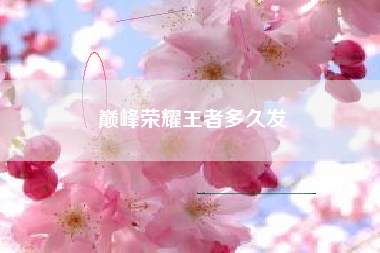 巅峰荣耀王者多久发
