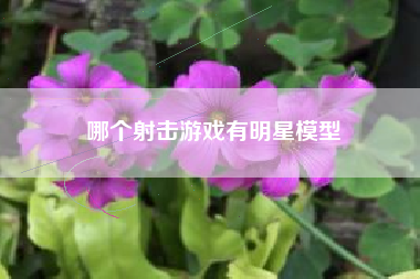 哪个射击游戏有明星模型