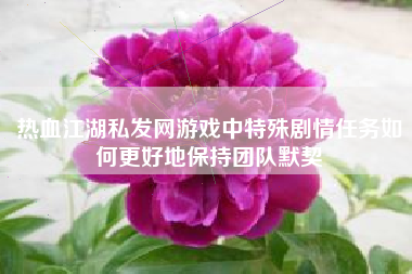 热血江湖私发网游戏中特殊剧情任务如何更好地保持团队默契