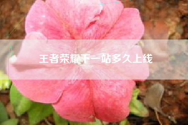 王者荣耀下一站多久上线