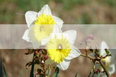 失落的