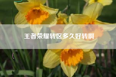 王者荣耀转区多久好转啊