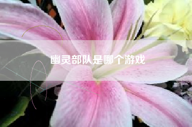 幽灵部队是哪个游戏