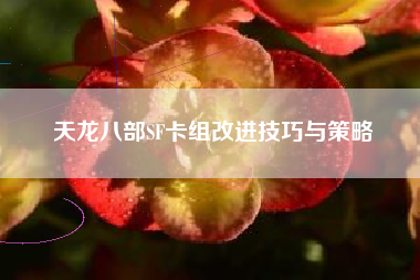 天龙八部SF卡组改进技巧与策略
