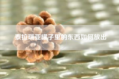 泰拉瑞亚罐子里的东西如何放出