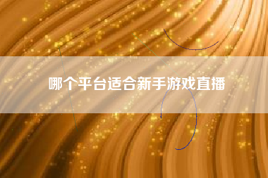 哪个平台适合新手游戏直播