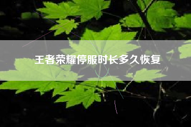 王者荣耀停服时长多久恢复