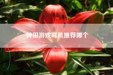 种田游戏耳机推荐哪个