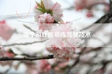 哪个游戏能够练驾驶技术