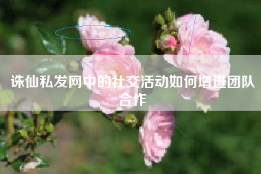 诛仙私发网中的社交活动如何增进团队合作