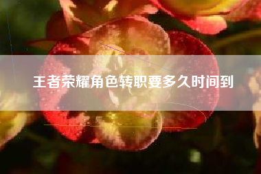 王者荣耀角色转职要多久时间到