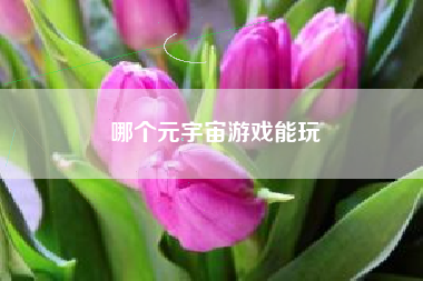 哪个元宇宙游戏能玩