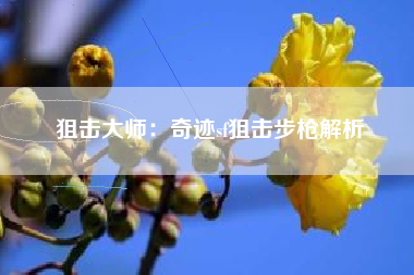 狙击大师：奇迹sf狙击步枪解析