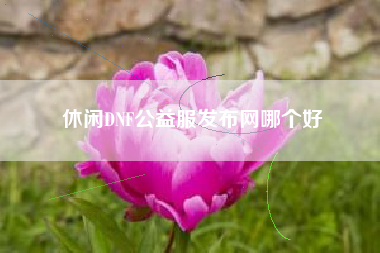 休闲DNF公益服发布网哪个好