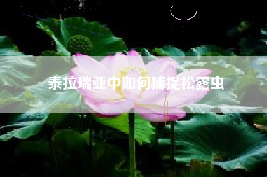 泰拉瑞亚中如何捕捉松露虫