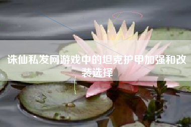 诛仙私发网游戏中的坦克护甲加强和改装选择