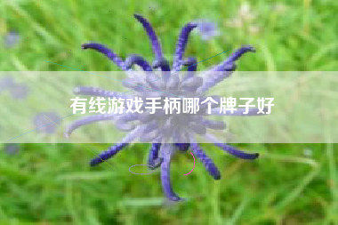 有线游戏手柄哪个牌子好